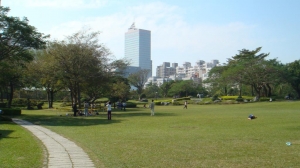 台中科学博物馆，绿草坪