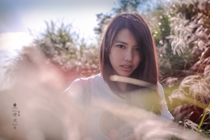 {晴天}崗 - 車車