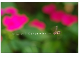 ROY Macro 174 │ Dance with ‧‧‧