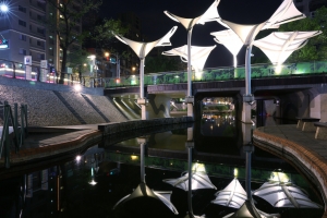 (6D)新手夜拍-中港大排、天橋上的車軌 24-70 f4