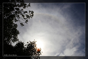 2011中秋節「日暈」奇景