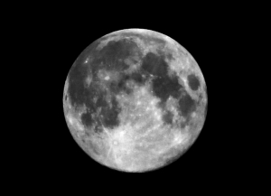 剛剛不信邪~又跑去拍一次"藍月"