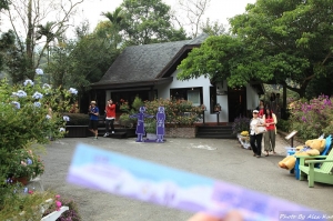 許願樹