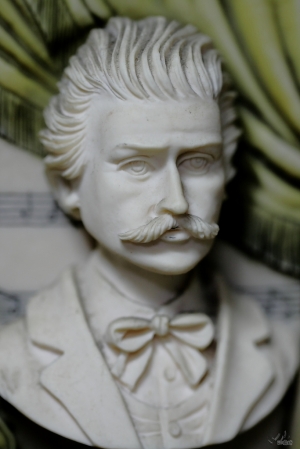 舅媽家的植物園[彩攝糖]