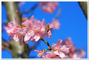 test2