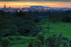 想念夏天の黑卡作品
