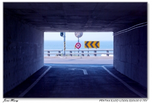 左岸。20090325八里