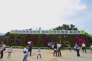 新社花海