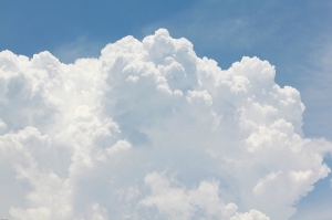 flickr test
