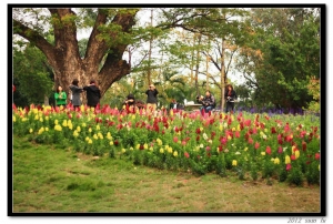 台南中山公園記錄