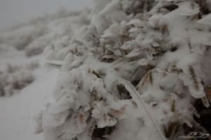 2012 合歡山 主峰登山口 雪景