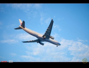 拍花燈拍到鐵鳥追焦 [一張流]