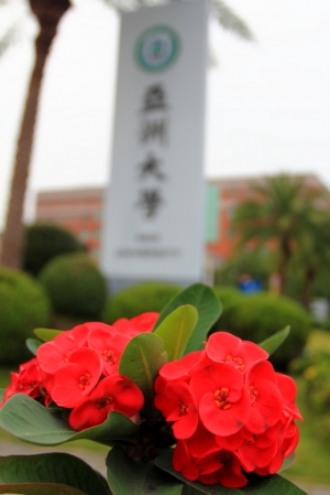 菜鳥第二次發帖--亞洲大學