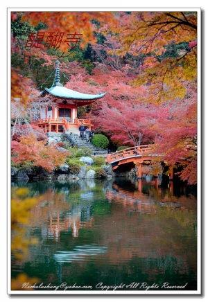 京都賞楓 - 醍醐寺