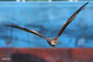 正面迎來 我中獎了