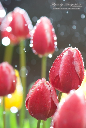 2012-01-05 雨天~我在~桃源仙谷~