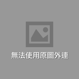 香水百合的微觀世界