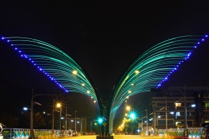 蝶の橋-展翅高飛