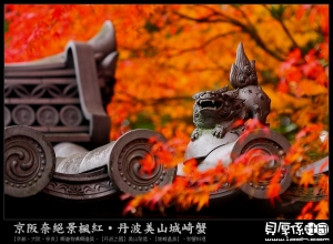 日本賞楓【秋魅關西京阪奈‧紅葉絕景漫步趣】