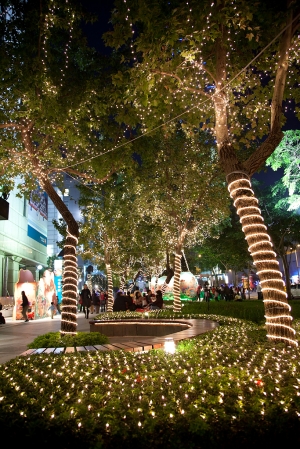 今年耶誕特別冷