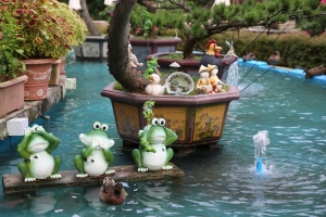 [5D III] 5D3+24-70 II_2.動物篇_鴛鴨  -by jyp.