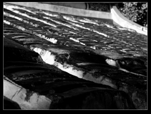 ((淡水))是隨拍也是亂拍(上)~~