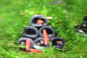 水世界之六星級飯店試拍