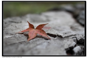 南投澳灣大清境小瑞士