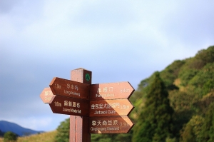 今天大晴天超開心...上山又下海...