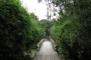 杭州遊之西溪濕地