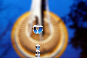 大雜燴(2)~~BY 好攝客