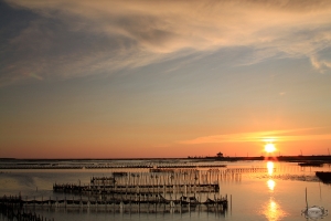 幾度夕陽紅(黑卡)