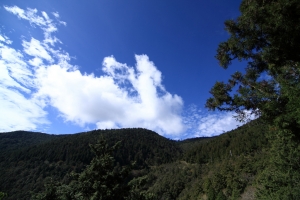 [450D]太平山一日遊