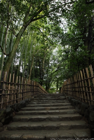 京阪散策 洛北篇