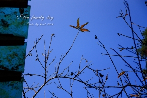 溪頭、華山 Family DAY 風景篇