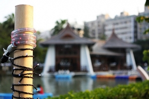 2008中臺灣元宵燈會-台中公園