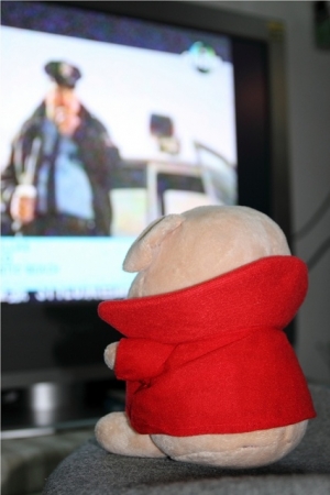 Canon原廠相機背包開箱文...