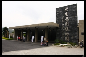 減碳養生餐