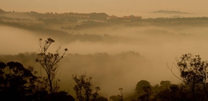 楊梅自宅,雲端一張流