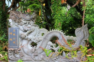 藍色夢幻精靈一(介紹我的第二故鄉)
