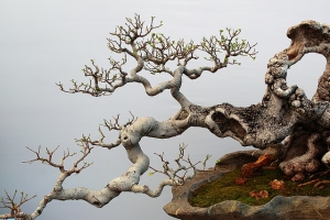 繁華落盡後之不朽~