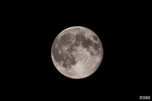 ::: Moon of the Empire 帝國之月 :::
