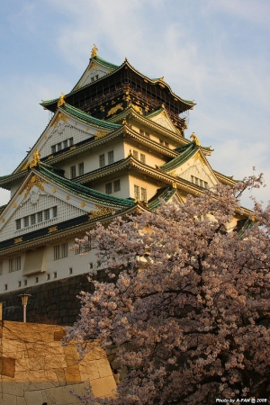 0405~0417 日本關西13天趴趴照