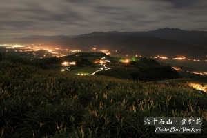 日出六十石山--滿山滿谷的金針花