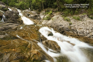 *** 馬來西亞熱帶雨林***