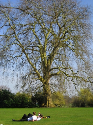 3月20在劍橋花絮