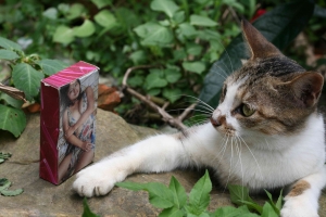 就是喜歡這一味