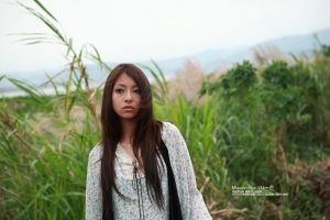 Miscanthus YU～芒