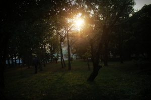 鏡頭下自有 顏如玉-- 就是 正ㄇㄟ` 啦