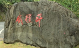 踏雪尋梅去~南投信義風櫃斗